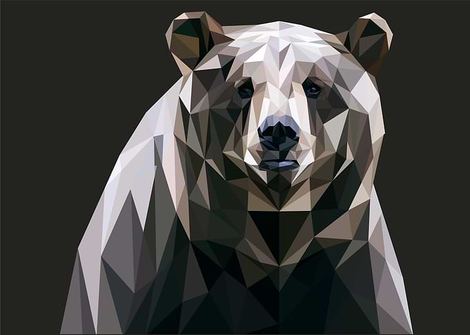 black bear