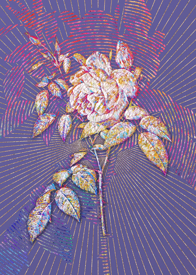 Blooming Fragrant Rosebush