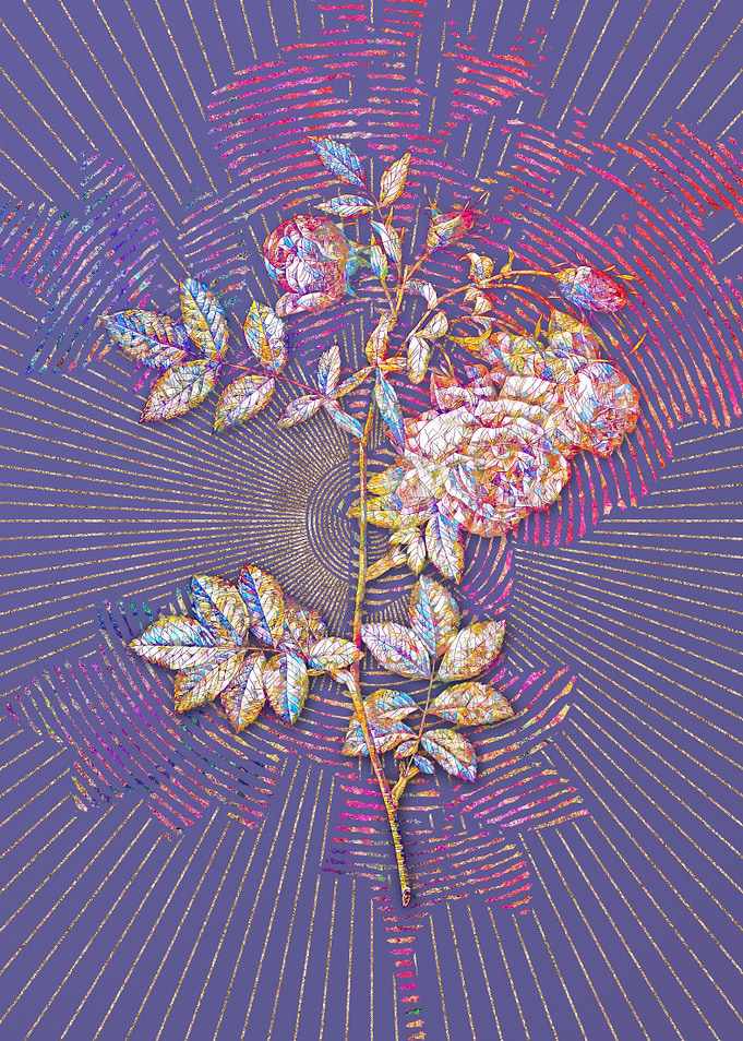 Blooming Turnip Roses