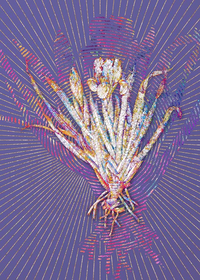 Crimean Iris Mosaic 2