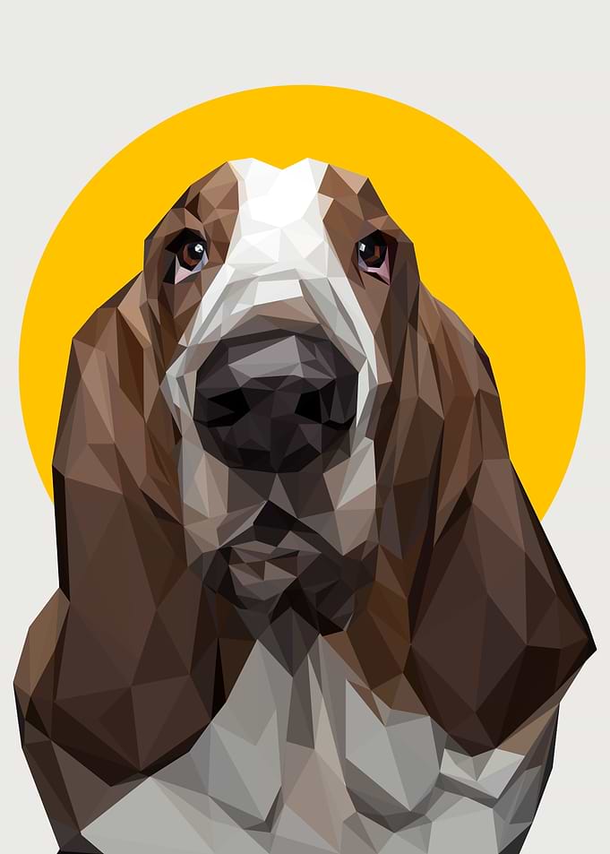 cute dog