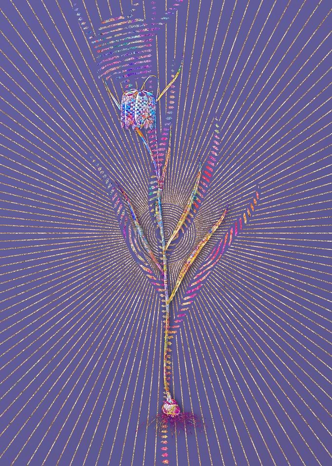 Chess Flower Mosaic Floral