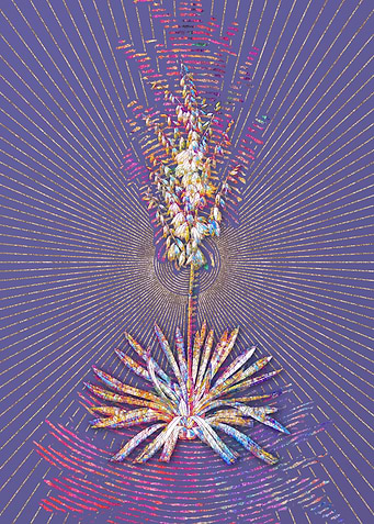 Adams Needle Mosaic
