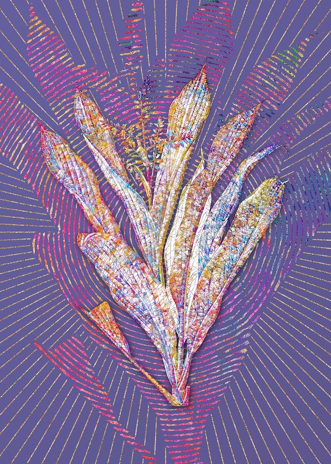 Cordyline Fruticosa Mosaic