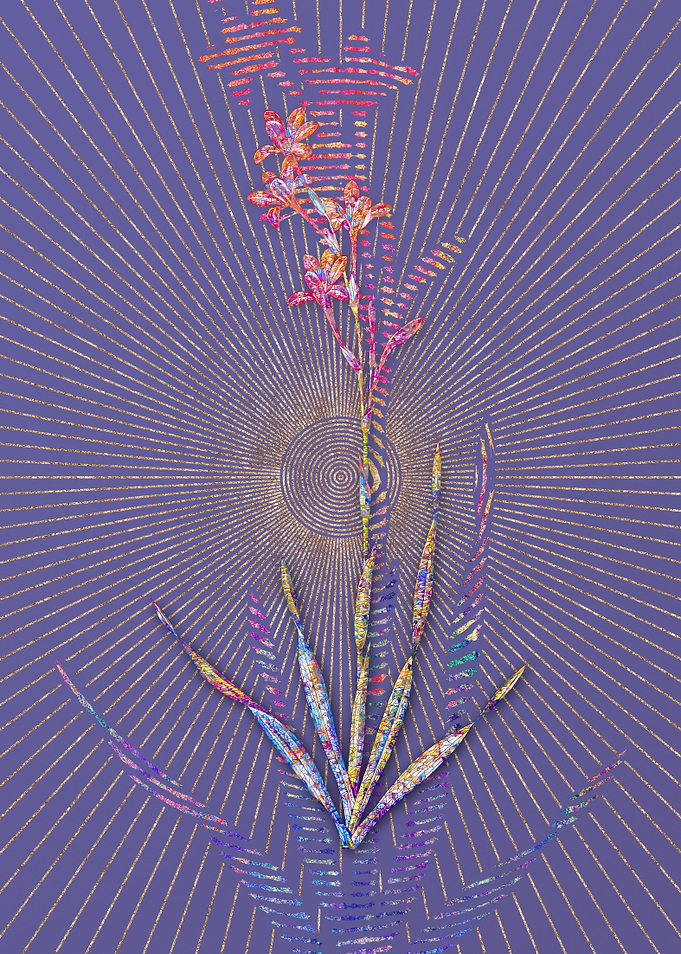 Bugle Lily Mosaic Floral