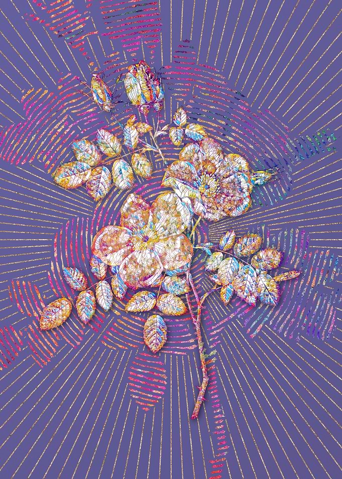 Austrian Briar Rose Mosaic