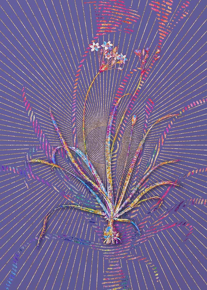 Allium Fragrans Mosaic