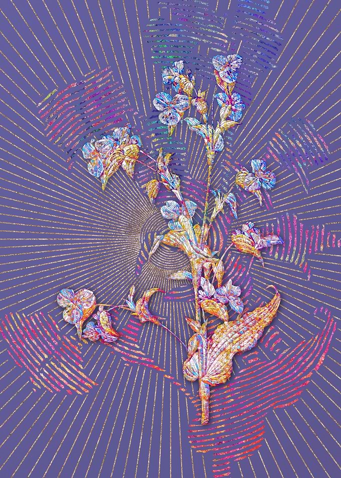 Commelina Tuberosa Mosaic
