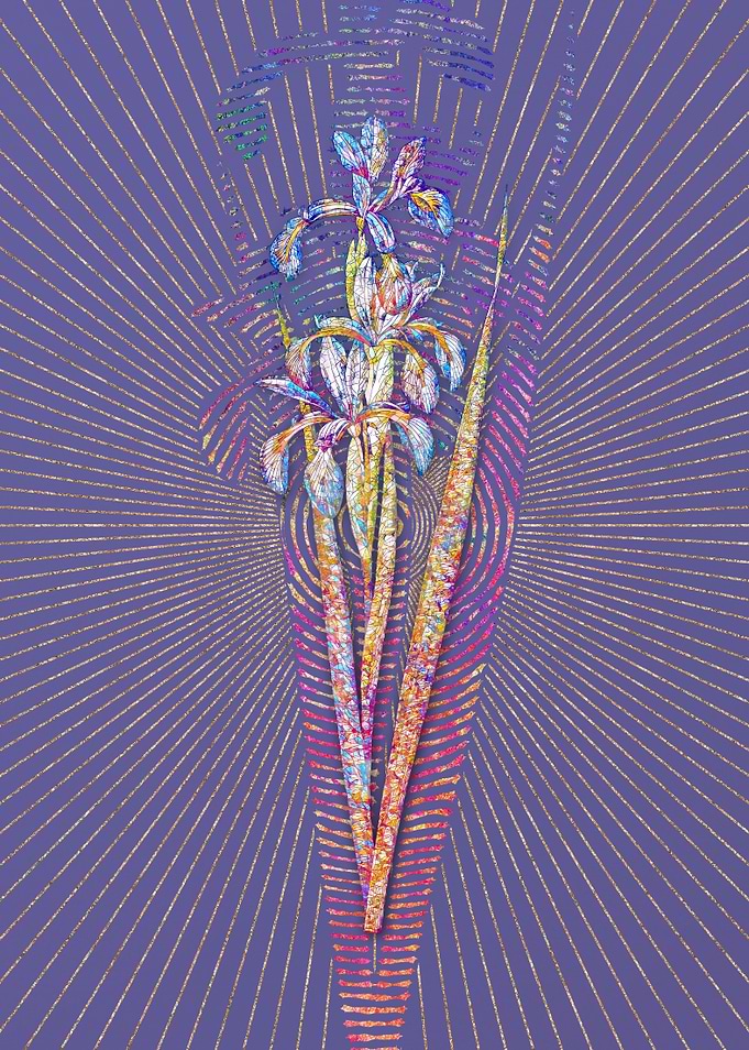 Blue Iris Mosaic Botanical