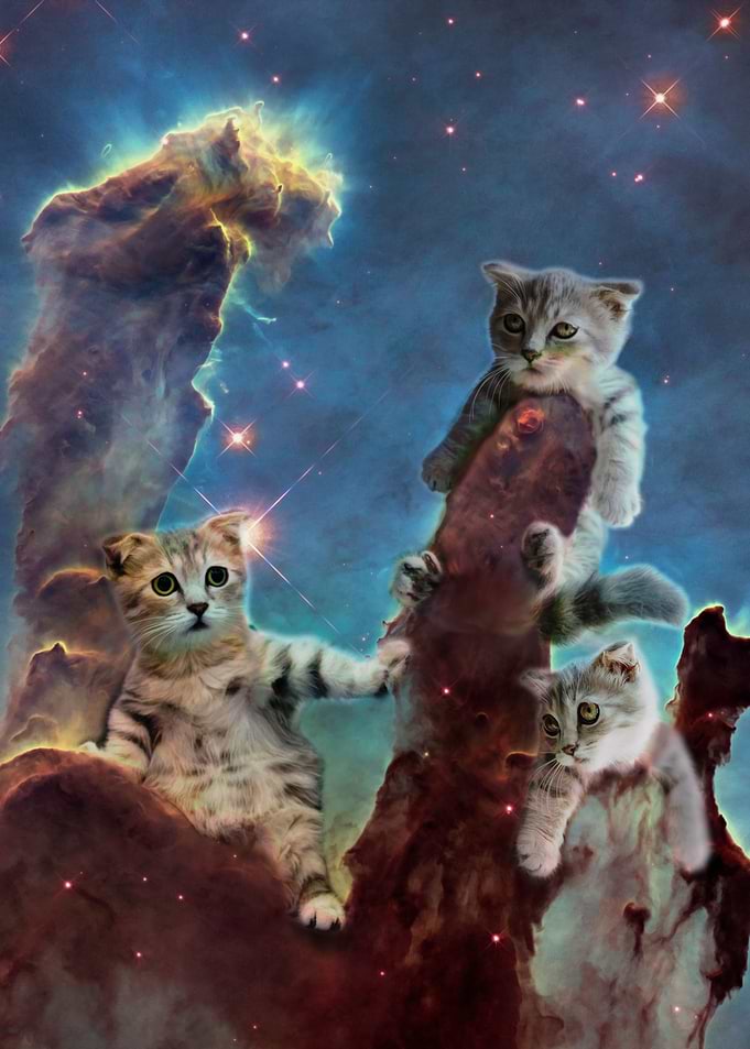 Cat Pillars