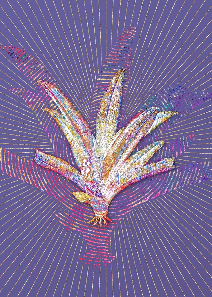 Boat Lily Mosaic Botanical