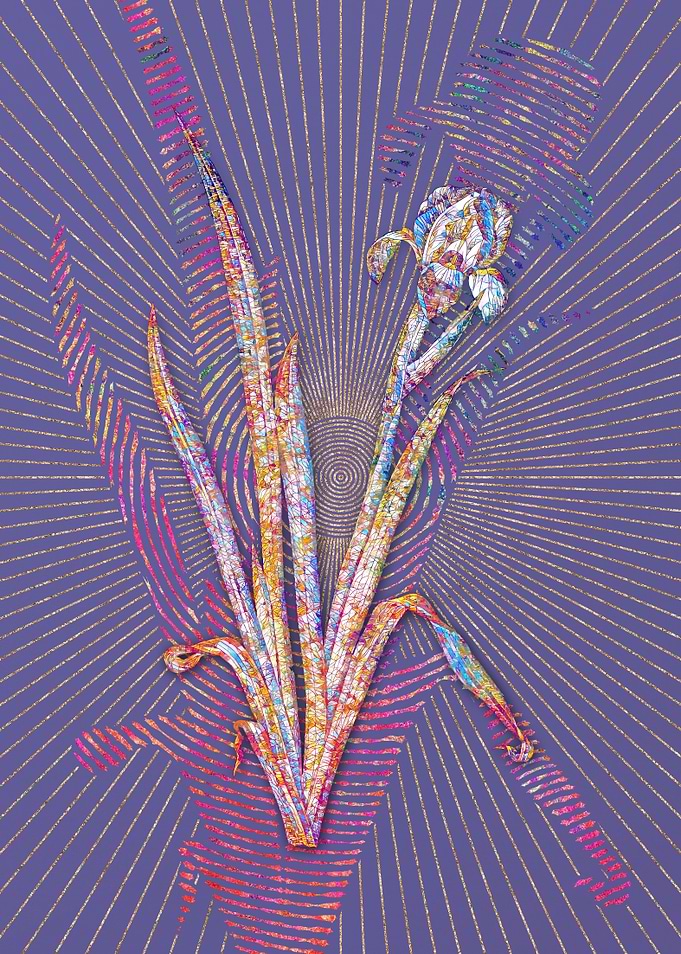 Crimean Iris Mosaic 1