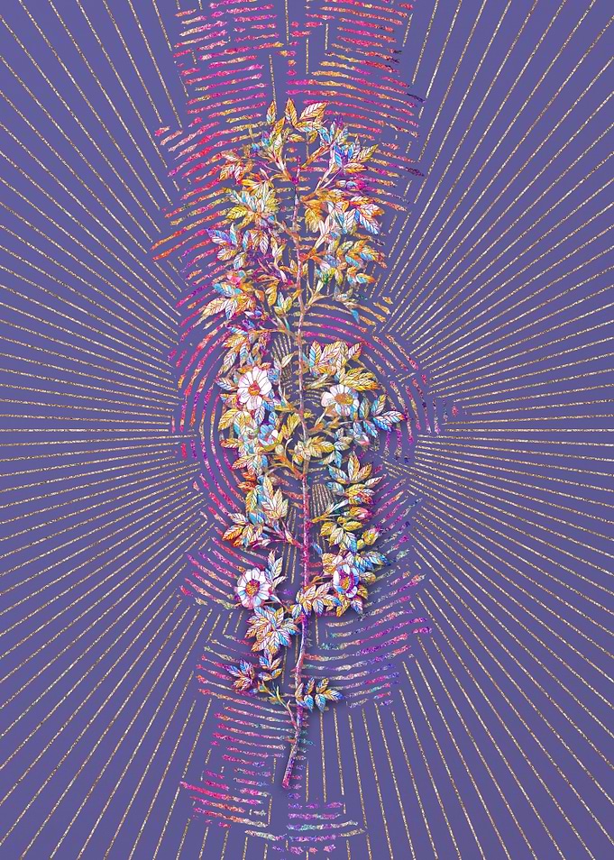 Cuspidate Rose Mosaic