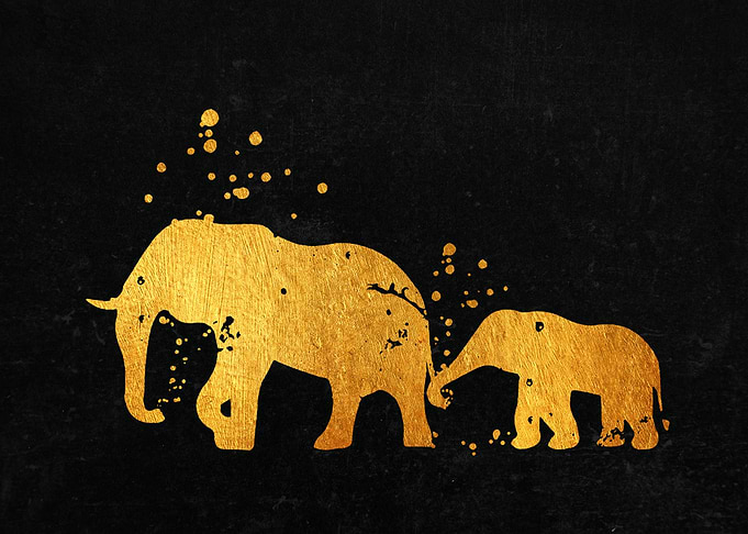 Elephant Family