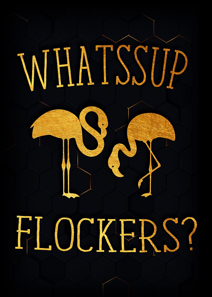 Flamingo Whassup Flockers