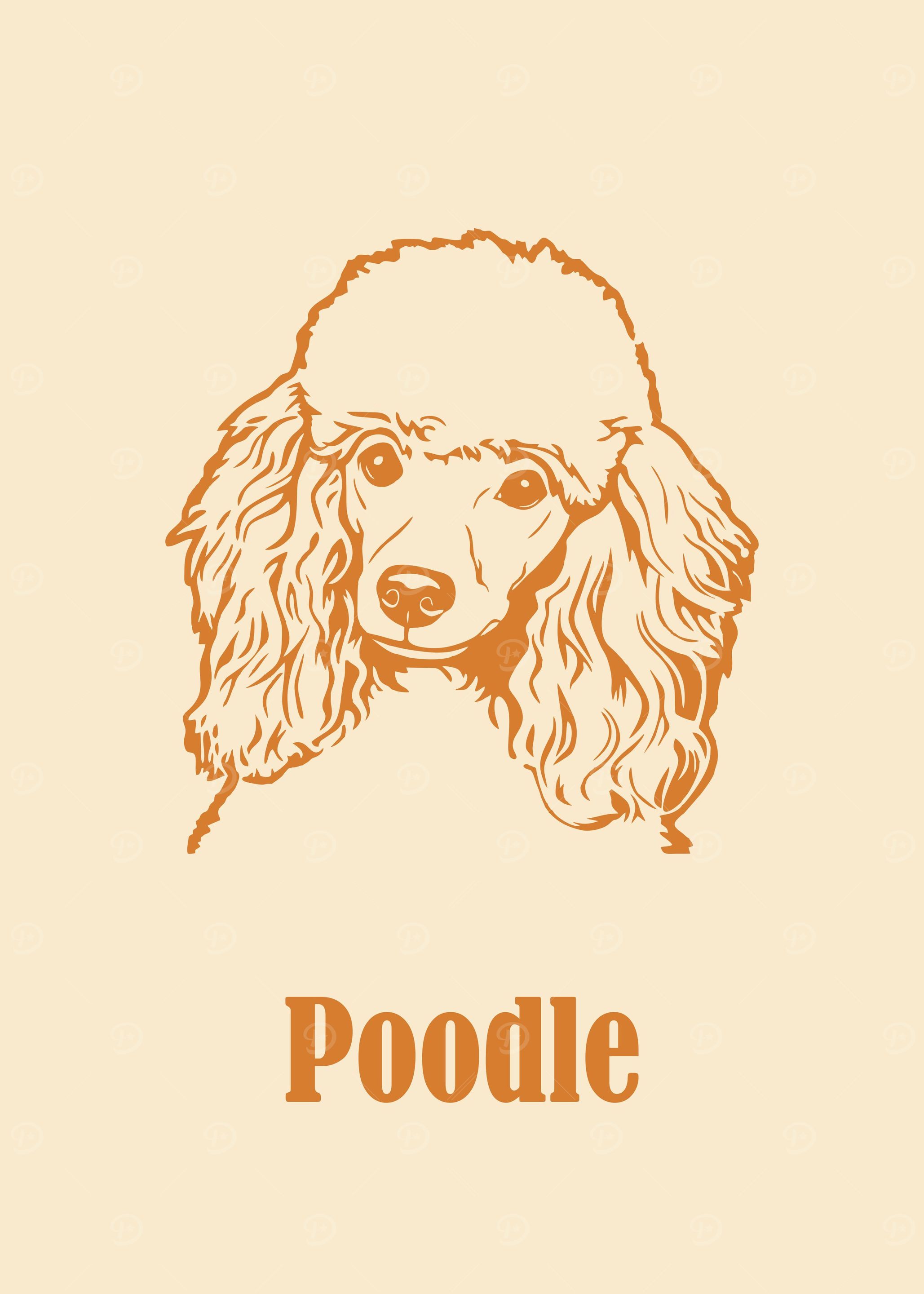 Poodle