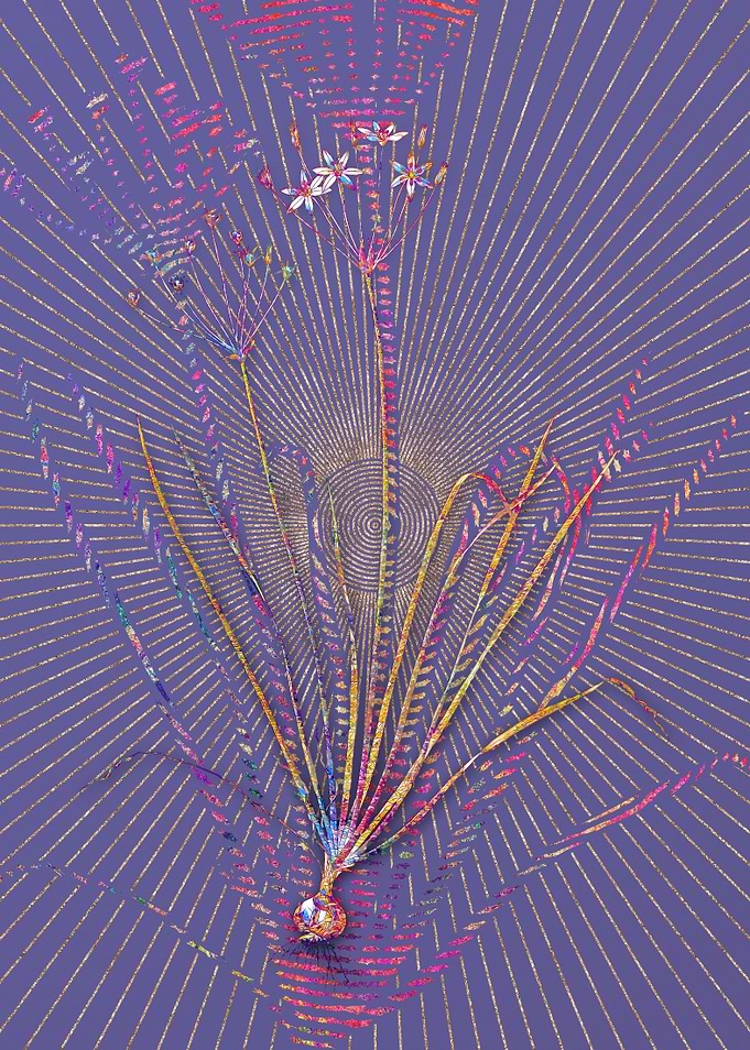 Allium Straitum Mosaic