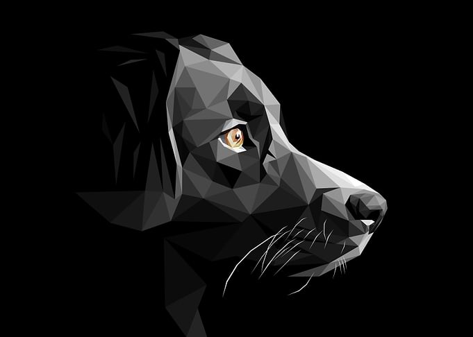 Black Dog Lowpoly