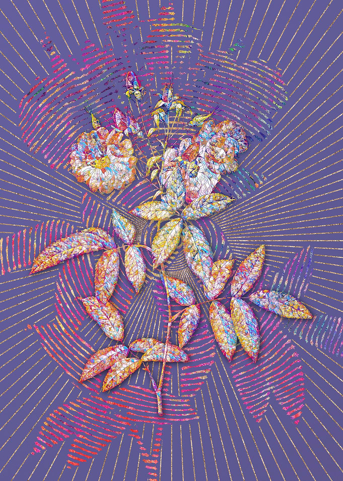 Hudson Rose Mosaic Floral