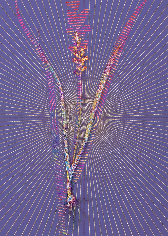 Lachenalia Pallida Mosaic