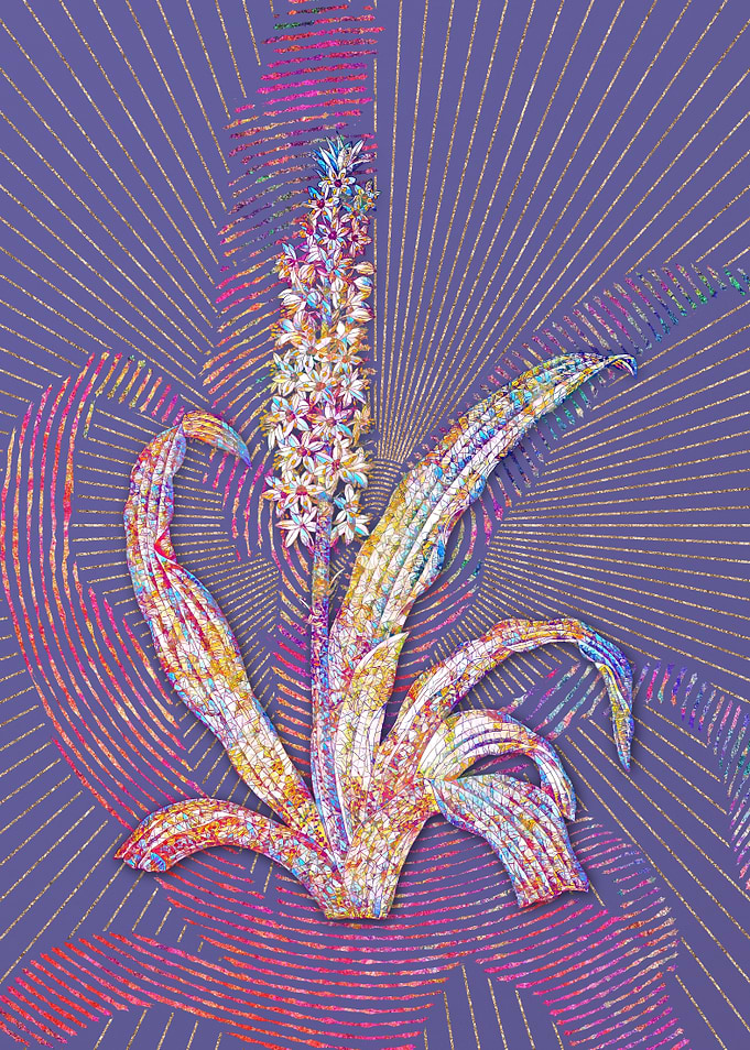 Eucomis Punctata Mosaic