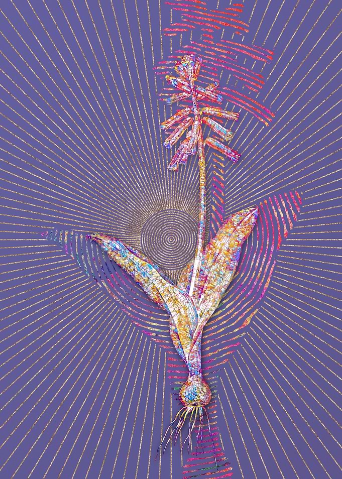 Lachenalia Pendula Mosaic