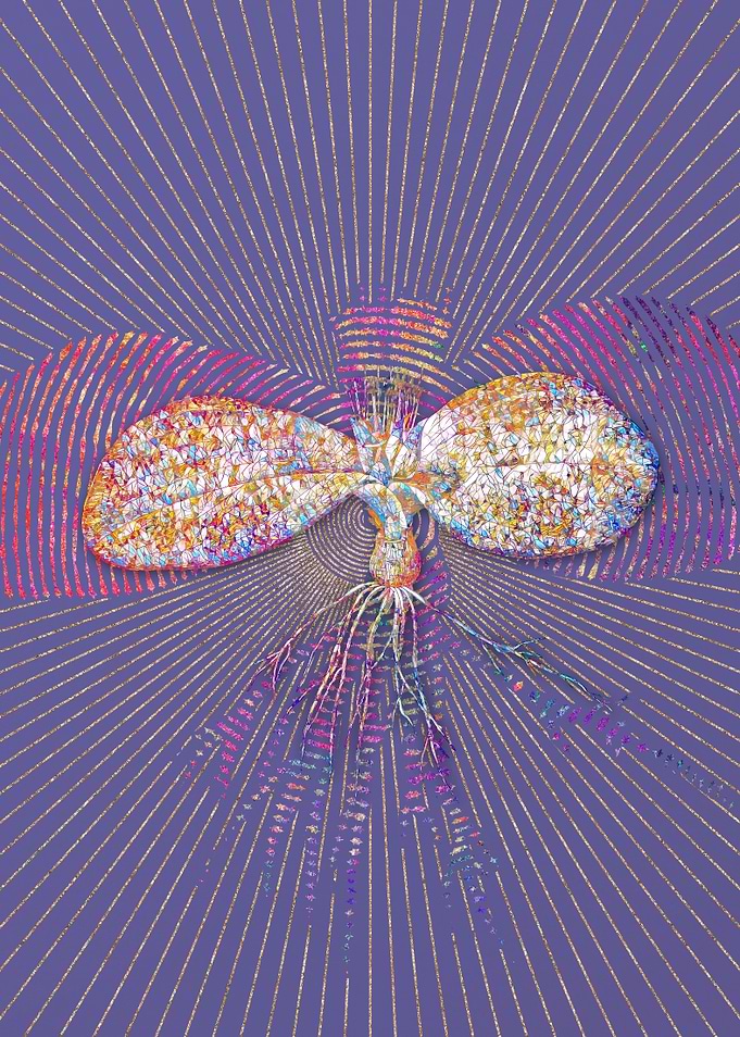 Massonia Pustulata Mosaic
