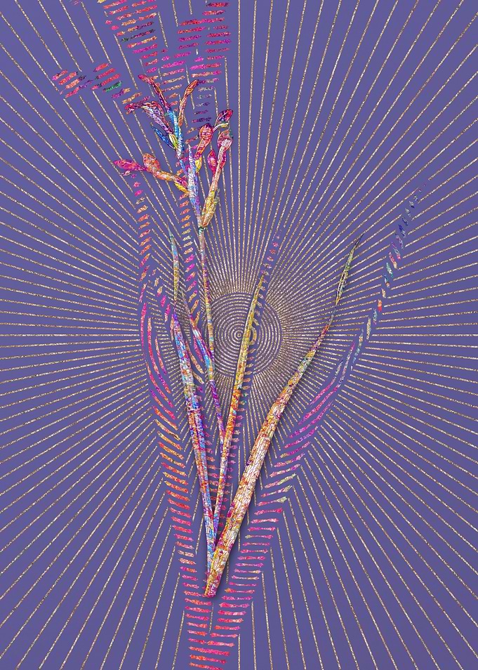 Gladiolus Cunonius Mosaic