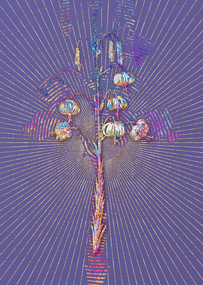 Lilium Pyrenaicum Mosaic