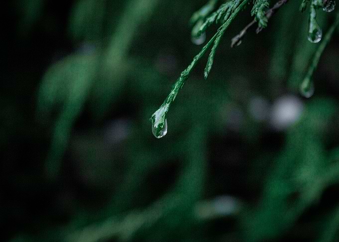 Raindrops
