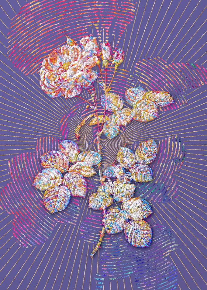 Damask Rose Mosaic Floral