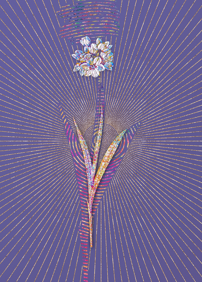 Ixia Maculata Mosaic