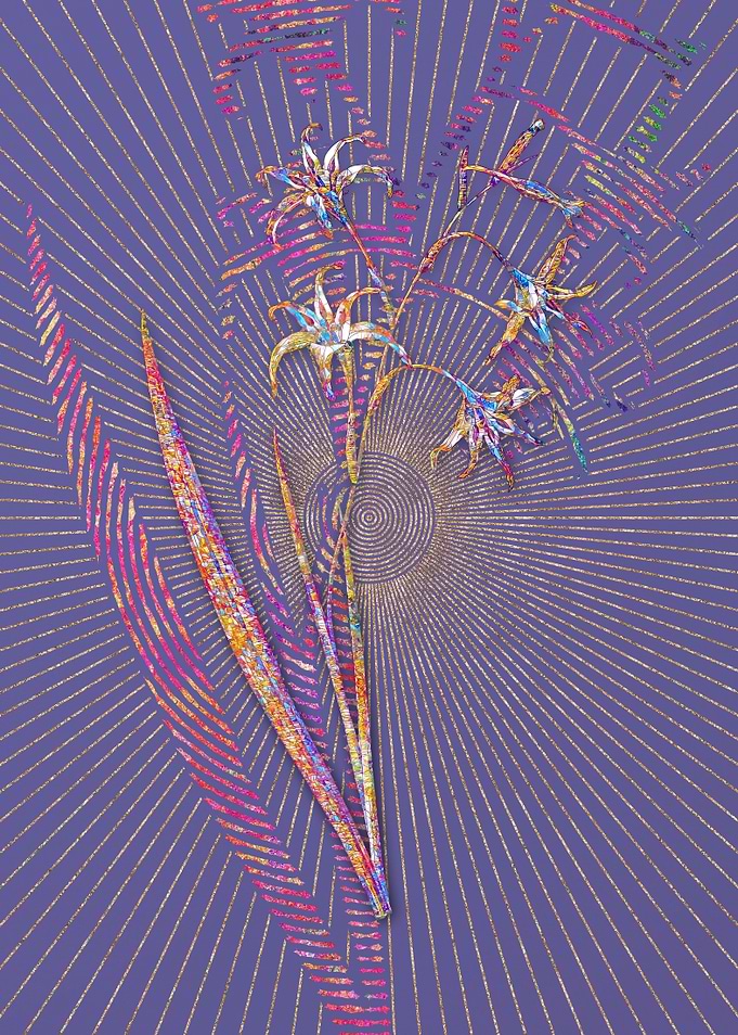 Gladiolus Cuspidatus
