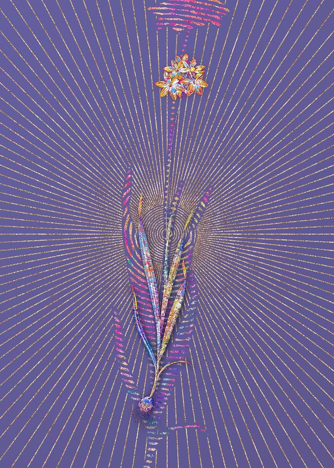 Orange Ixia Mosaic Flower