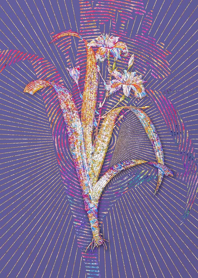 Iris Fimbriata Mosaic