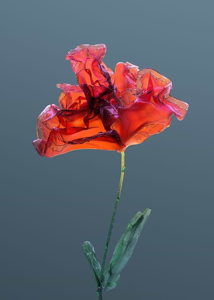 What was a flower