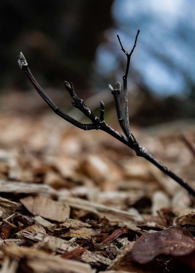 Natural Decay