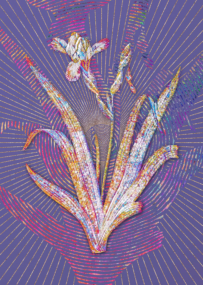 Hungarian Iris Mosaic