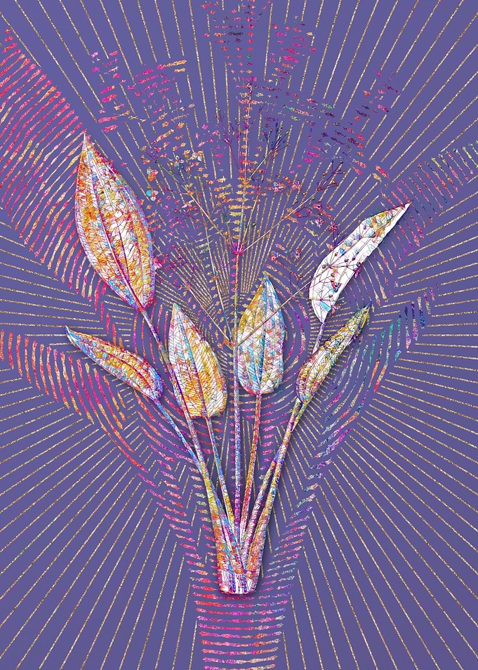 European Water Plantain