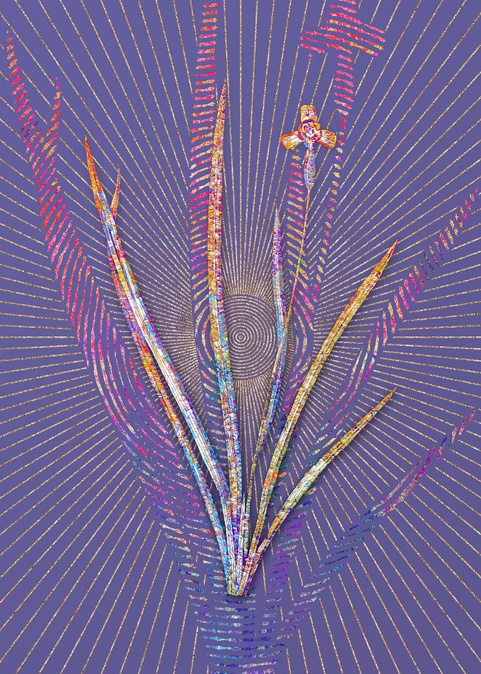 Iris Martinicensis Mosaic