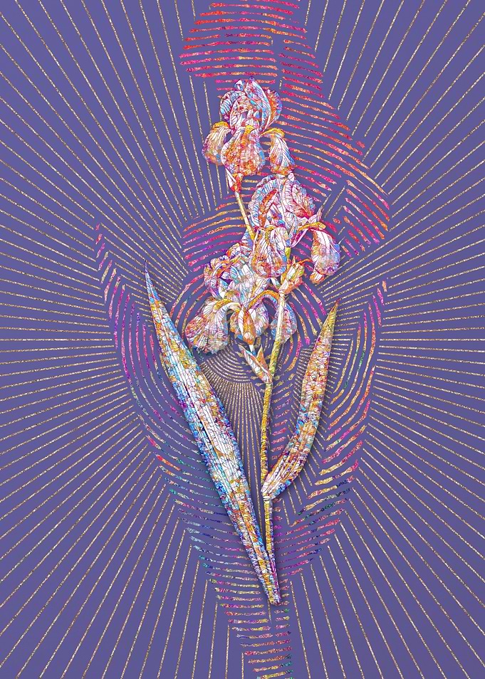 Dalmatian Iris Mosaic