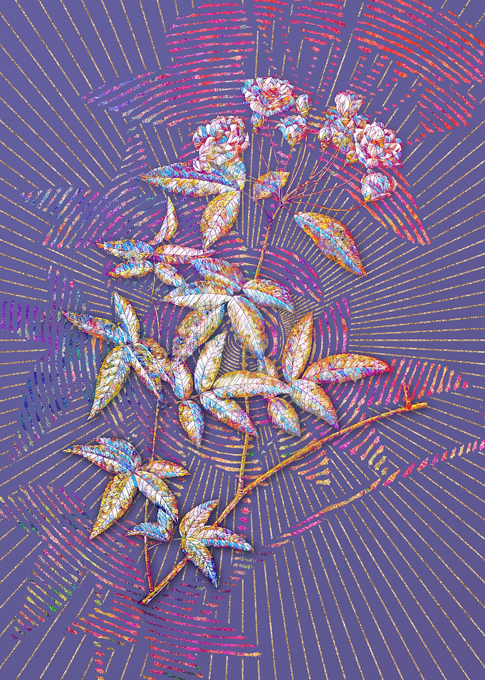 Lady Banks Rose Mosaic