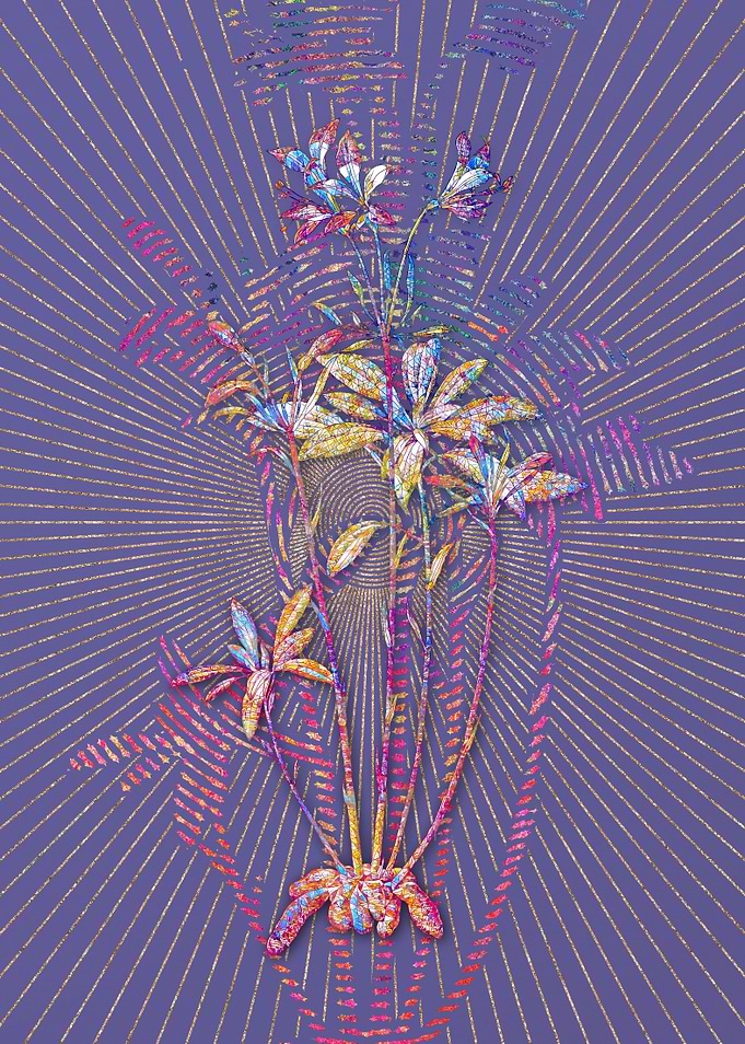 Lily of the Incas 2 Mosaic