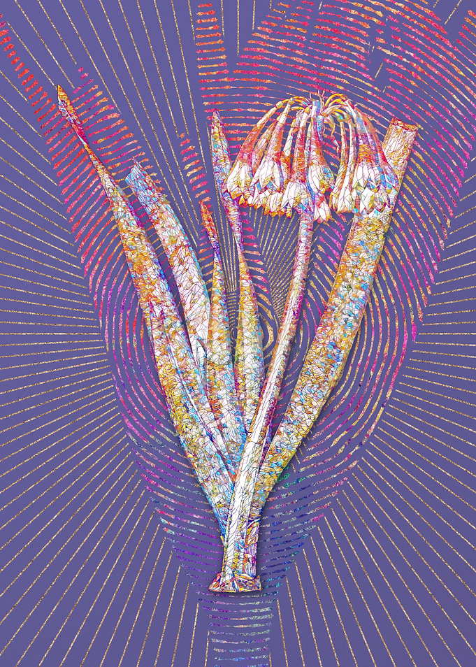 Knysna Lily Mosaic Flower