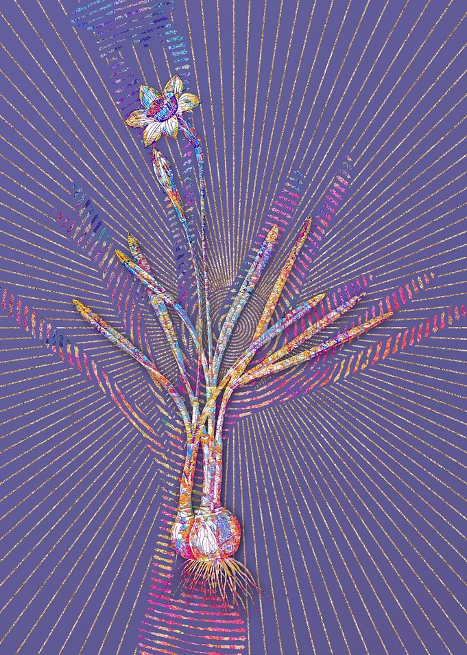Narcissus Gouani Mosaic