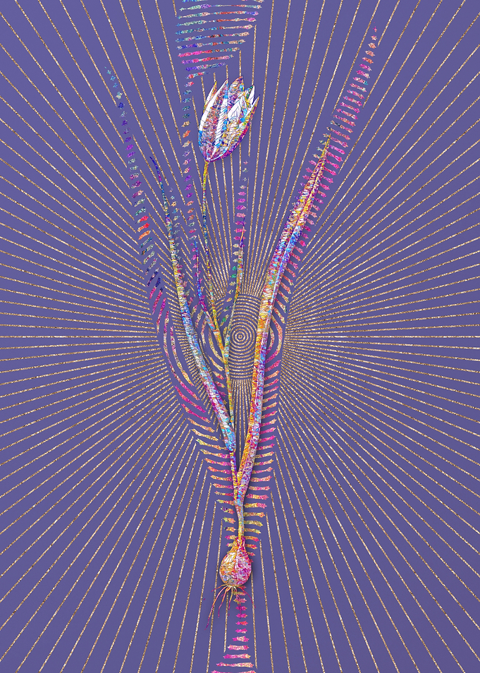 Lady Tulip Mosaic Flower