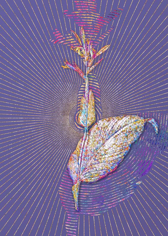 Indian Shot Mosaic Floral
