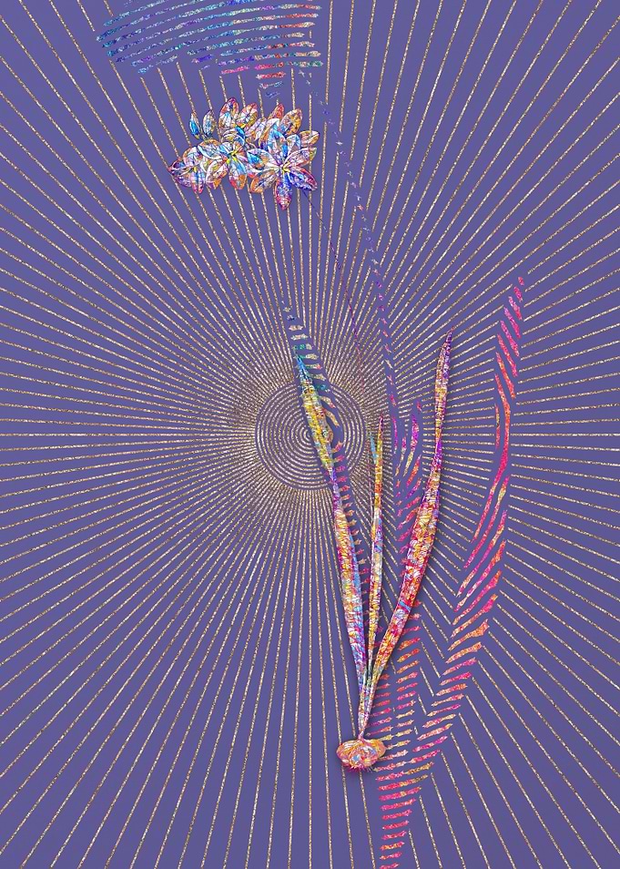 Ixia Filiformis Mosaic