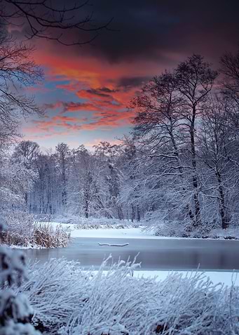 Winter morning in the park