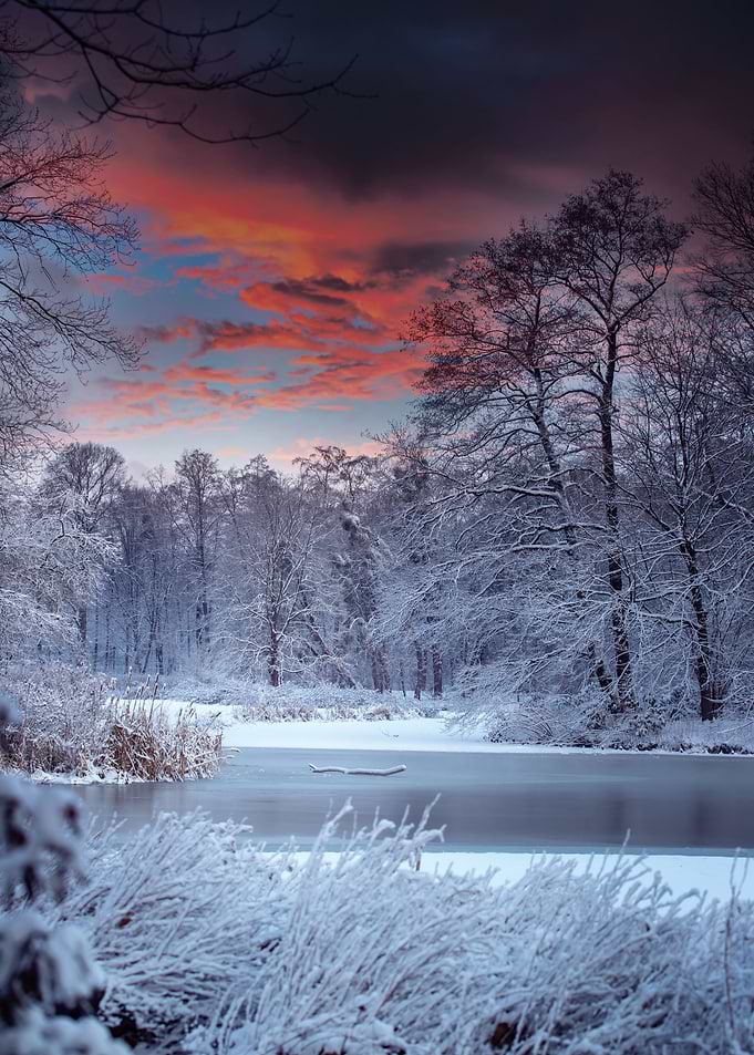 Winter morning in the park